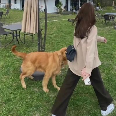 我内心的故乡